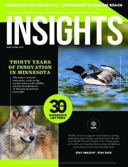 THIRTY YEARS OF INNOVATION IN MINNESOTA - NASPL Matrix