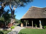 THE ROLE OF TROPHY HUNTING OF ELEPHANT IN SUPPORT OF THE ZIMBABWE CAMPFIRE PROGRAM DECEMBER 2016 - Prepared by CAMPFIRE Association Mukuvisi Woodlands