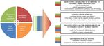 Skills Mismatches - An Impediment to the Competitiveness of EU Businesses - STUDY - European Economic and Social Committee