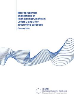 Macroprudential implications of financial instruments in Levels 2 and 3 for accounting purposes - February 2020