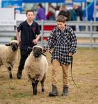 THE BEST OF TASMANIAN HOSPITALITY - Agfest 2022 - May 4-7, 2022 Stallholder Expression of Interest (EOI)