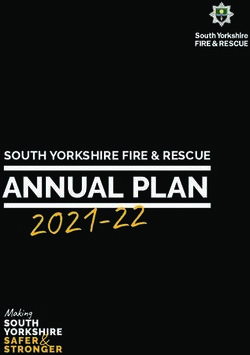 ANNUAL PLAN SOUTH YORKSHIRE FIRE & RESCUE