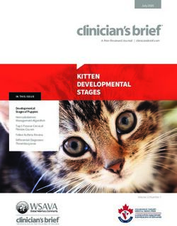 KITTEN DEVELOPMENTAL STAGES - Hey There, brief.vet Is A ...