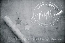 Holiday 2019 Gift Giving Catalogue - MNR Lash Studio