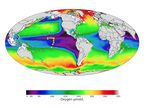 Harnessing the Power of Scientific Python to Investigate Biogeochemistry and Metaproteomes of the Central Pacific Ocean