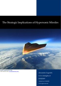 The Strategic Implications of Hypersonic Missiles - Alessandro Gagaridis www.strategikos.it 25/02/2019