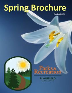 Spring Brochure Spring 2021 - Plainfield Recreation Department & Senior Center