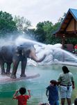 INNOVATIONS IN ZOO: CAMPUS AND EXHIBIT DESIGN - The Elephant Gets His Way: Innovation at Denver Zoo Denver Zoological Foundation & CLR Design ...