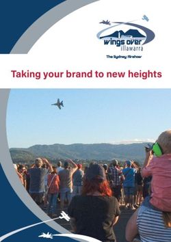 Taking your brand to new heights - Taking your brand to new heights - Wings Over Illawarra