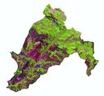 CHESTNUT COVER AUTOMATIC CLASSIFICATION THROUGH LIDAR AND SENTINEL-2 MULTI-TEMPORAL DATA