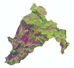 CHESTNUT COVER AUTOMATIC CLASSIFICATION THROUGH LIDAR AND SENTINEL-2 MULTI-TEMPORAL DATA