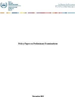 Policy Paper on Preliminary Examinations - November 2013
