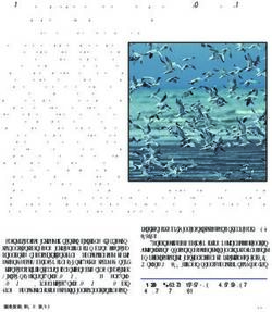 Post-breeding aggregations of roosting terns in south Dublin Bay in late summer - BirdWatch Ireland