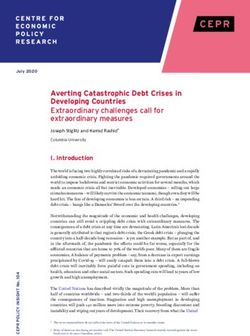 Averting Catastrophic Debt Crises in Developing Countries Extraordinary challenges call for extraordinary measures