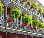 New Orleans Holiday 5 Days November 30-December 4, 2021 - US Naval Academy Alumni Association presents - USNA Alumni Association