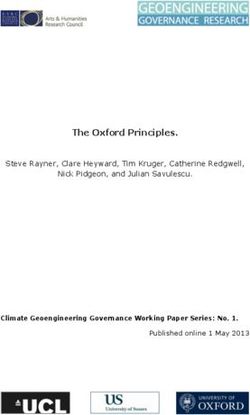 The Oxford Principles - Steve Rayner, Clare Heyward, Tim Kruger, Catherine Redgwell, Nick Pidgeon, and Julian Savulescu.