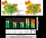 Contrary to Common Observations in the West, Urban Park Access Is Only Weakly Related to Neighborhood Socioeconomic Conditions in Beijing, China