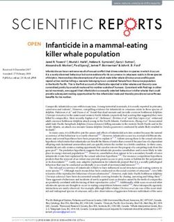 Infanticide in a mammal-eating killer whale population - Salmon Coast ...