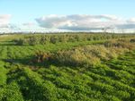 Land and water condition for agriculture: constraints and opportunities - Dr Richard George, Principal Research Scientist Department of Primary ...