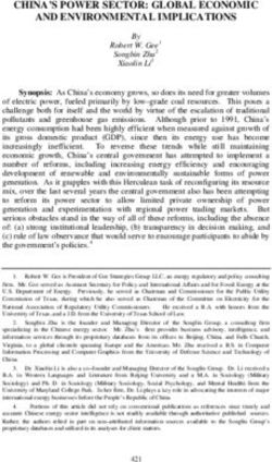 CHINA'S POWER SECTOR: GLOBAL ECONOMIC AND ENVIRONMENTAL IMPLICATIONS