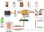 Domain Specific Content Based Image Retrieval (CBIR) for Feminine Textile Designs - International ...
