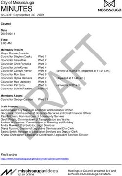 MINUTES - City of Mississauga