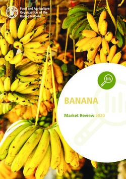 BANANA Market Review 2020 - NET