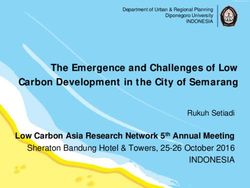 The Emergence and Challenges of Low Carbon Development in the City of Semarang - LCS-RNet