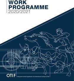 WORK PROGRAMME 2020/2021 - OTIF - Intergovernmental ...