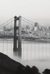 2019 San Francisco Community Health Needs Assessment