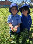 PRE PRIMARY 20212021 St Denis Primary School - Parent Information Booklet - St Denis School