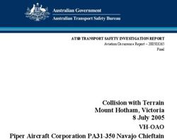 VH-OAO Collision with Terrain Mount Hotham, Victoria 8 July 2005 Piper Aircraft Corporation PA31-350 Navajo Chieftain