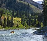 FREE AIRFARE WHEN BOOKED BY - Yellowstone, Grand Tetons and Mount Rushmore - First ...