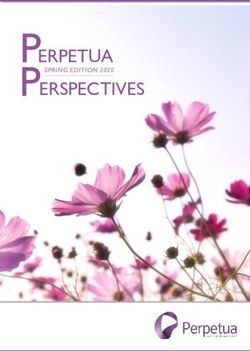 ERPETUA ERSPECTIVES SPRING EDITION 2020 - Perpetua Investment Managers