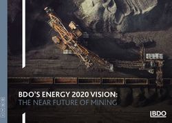 BDO'S ENERGY 2020 VISION: THE NEAR FUTURE OF MINING