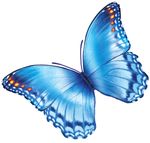 Cleft Lip and Palate Family Conference - Building Hope and Smiles June 23-24, 2023