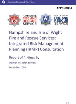 Hampshire and Isle of Wight Fire and Rescue Services: Integrated Risk Management Planning (IRMP) Consultation - Report of findings by Opinion ...