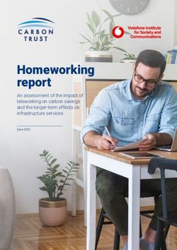 Homeworking report An assessment of the impact of teleworking on carbon savings and the longer-term effects on infrastructure services - Vodafone ...