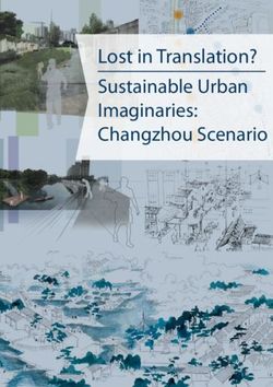 Lost in Translation? Sustainable Urban Imaginaries: Changzhou Scenario - the fight of the dragons - Uni-DUE