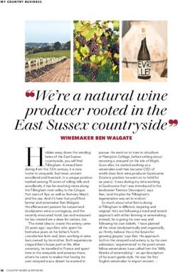 We're a natural wine producer rooted in the East Sussex countryside - Tillingham
