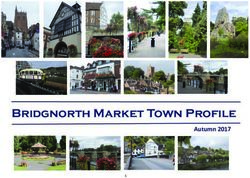 Bridgnorth Market Town Profile - Autumn 2017 - Shropshire Council