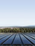 Environmental Responsibility Report - Apple