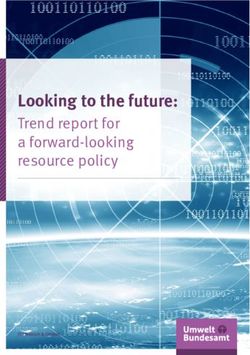 Looking to the future: Trend report for a forward-looking resource policy - SimRess