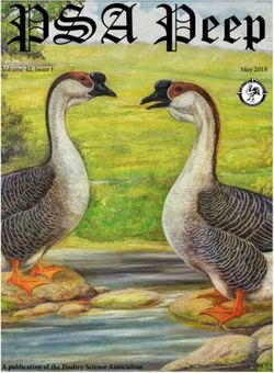 PSA Peep Volume 42, Issue