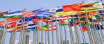 TRADE LAW UPDATE IN THIS ISSUE - Presidential Actions - International Trade Insights
