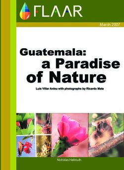 March 2007 - Nicholas Hellmuth - FLAAR MESOAMERICA