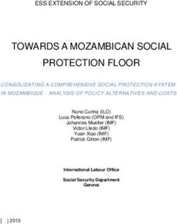 TOWARDS A MOZAMBICAN SOCIAL PROTECTION FLOOR