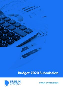 Budget 2020 Submission - Dublin Chamber