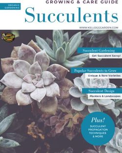 Succulents - Plus! - GROWING & CARE GUIDE - Middletown Fall Creek ...