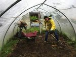 GROUP VOLUNTEERING 2020 - Get Dirty. Leave with Great Stories